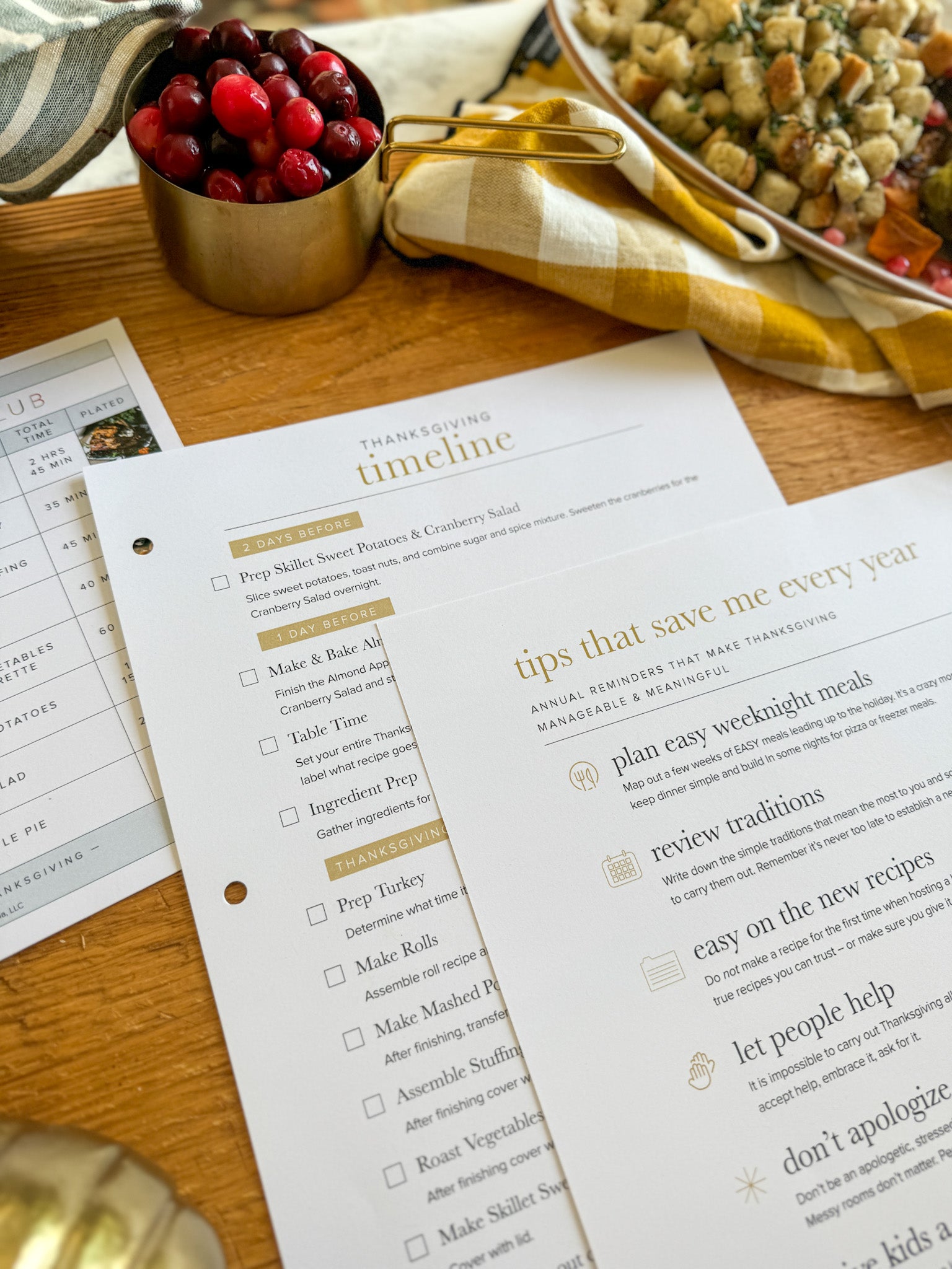 Printed Thanksgiving tips and timeline 