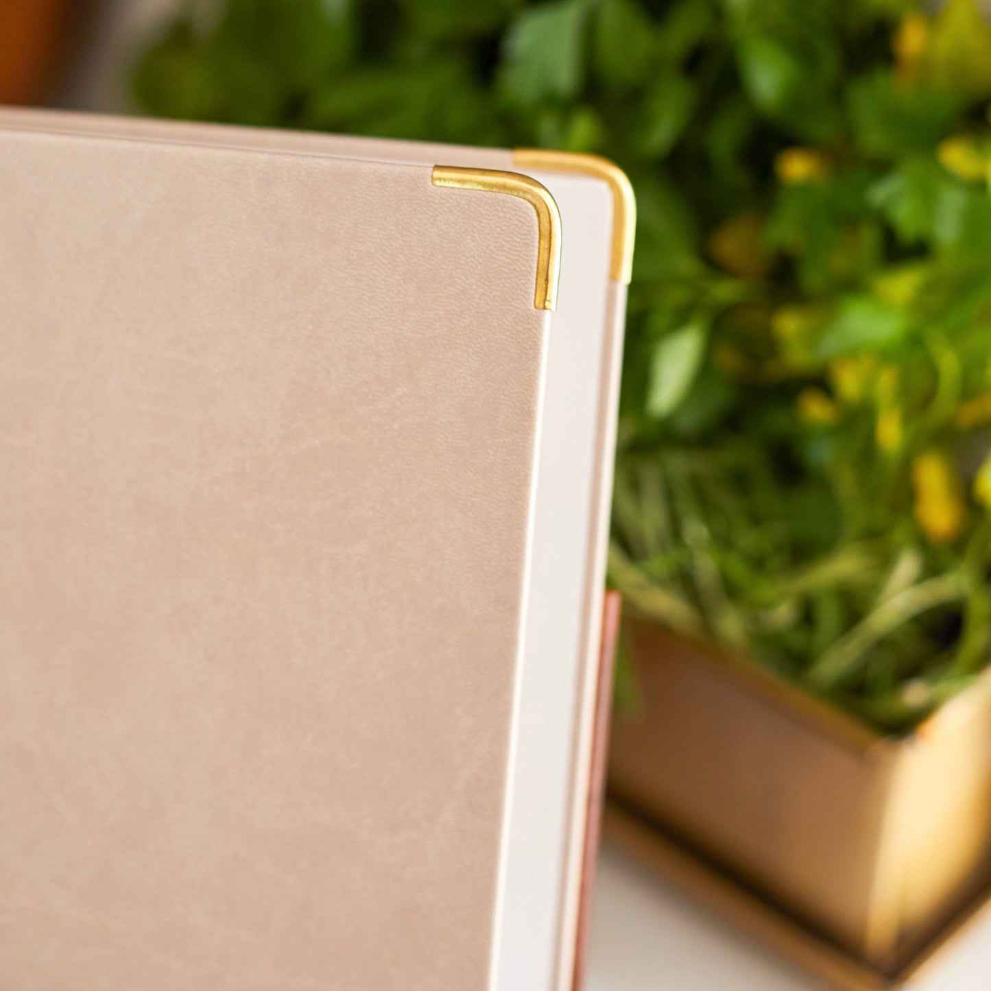 Close up of gold corner protectors