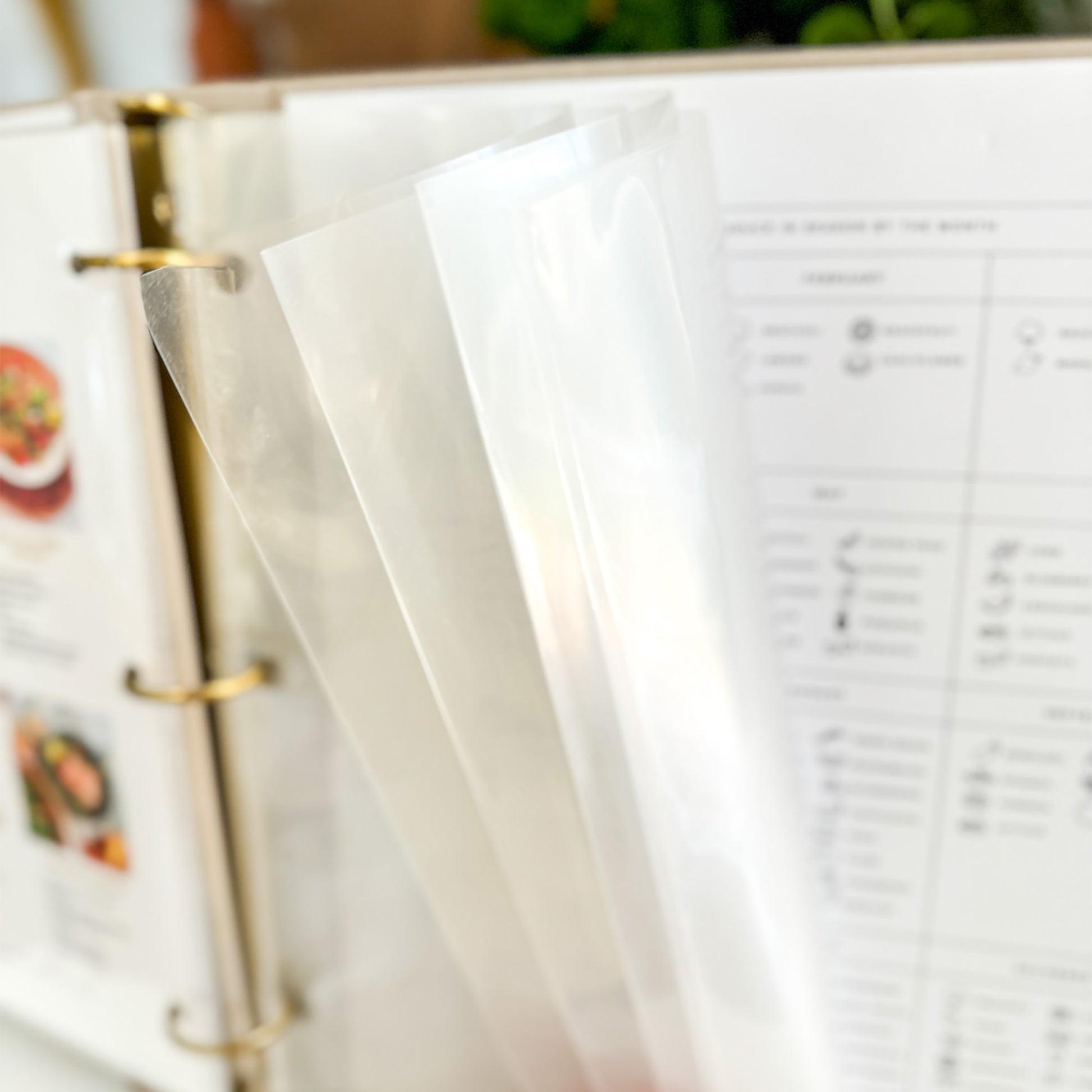Clear plastic sheet protectors
