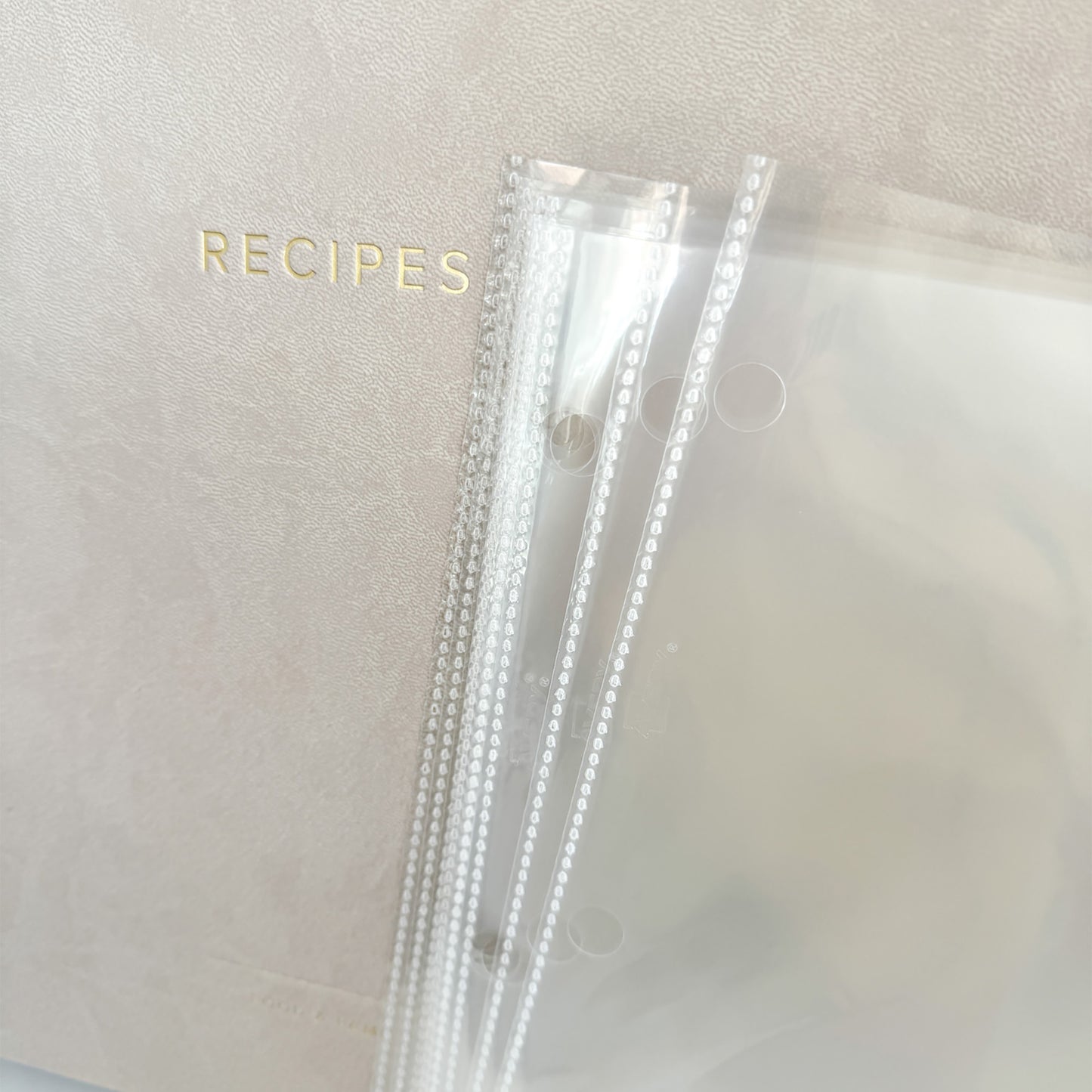 Sheet protectors detail with Recipe Club binder